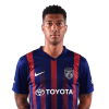 Player cutout