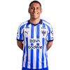 Player cutout