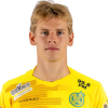 Player cutout
