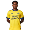 Player cutout