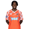 Player cutout
