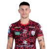 Player cutout