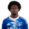 Player cutout
