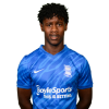 Player cutout