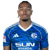 Player cutout