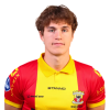 Player cutout