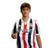 Player cutout