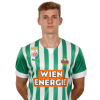 Player cutout