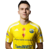 Player cutout