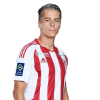 Player cutout