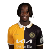 Player cutout