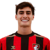 António Silva