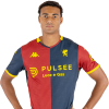 Player cutout