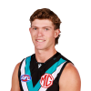 Player cutout