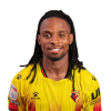 Player cutout