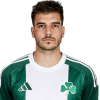 Player cutout