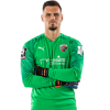 Player cutout