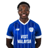 Player cutout