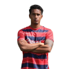Player cutout