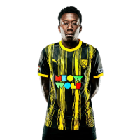 Player Cutout