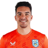 Player cutout