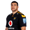Player cutout