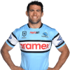 Player cutout