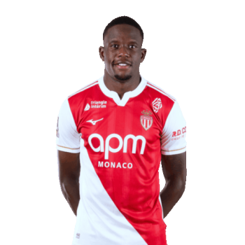 Denis Zakaria profile image