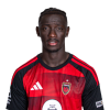 Player cutout