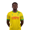 Player cutout