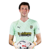 Player cutout