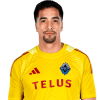 Player cutout