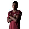 Player cutout