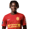 Player cutout
