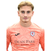 Player cutout