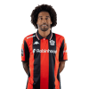Player cutout