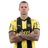 Player cutout