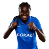 Player cutout
