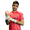 Player cutout