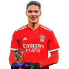 Player cutout