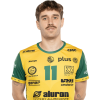 Player cutout