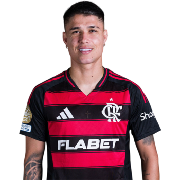 Luiz Araújo profile image