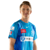 Player cutout