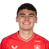 Player cutout
