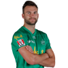 Player cutout