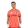 Player cutout