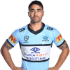 Player cutout