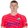 Player cutout