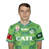 Player cutout