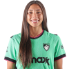 Player cutout